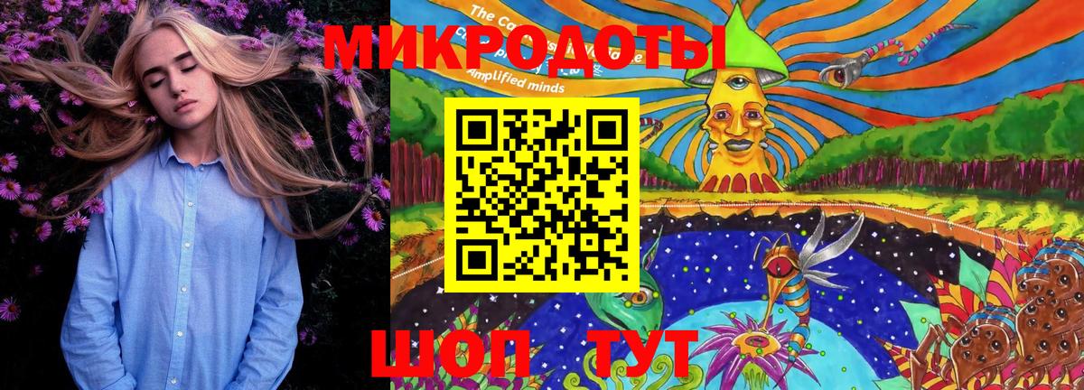 Галлюциногенные грибы Psilocybine cubensis Карачаевск